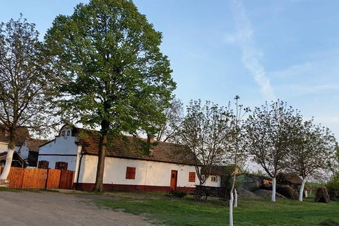 Salaš Isailovi — sala za venčanje Srbija