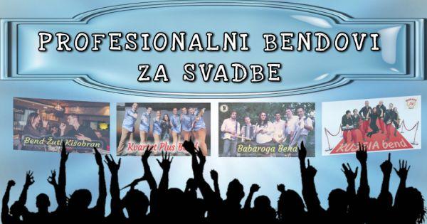 PBS – Profesionalni bendovi za svadbe — muzika za svadbu, Novi Sad