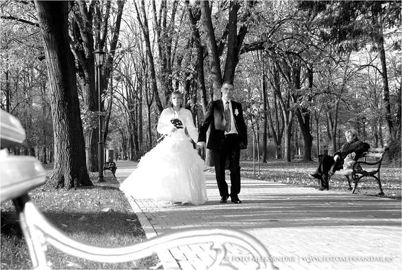 Aleksandar Foto