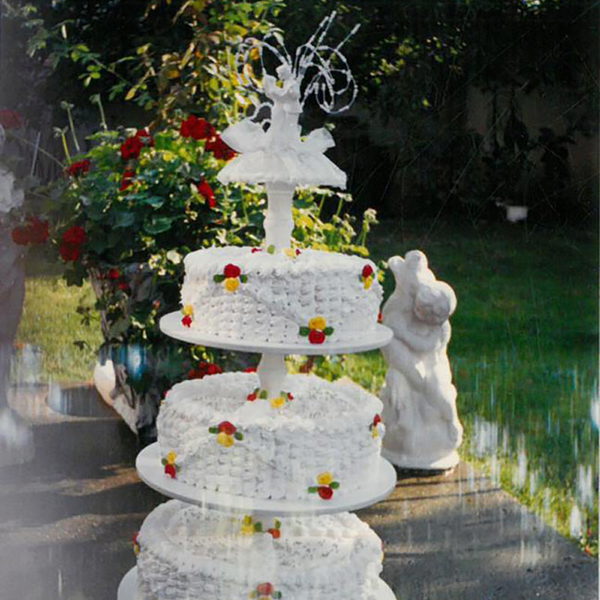 Ana Torte