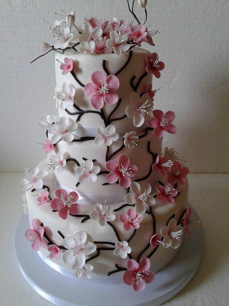 Ceca Torte