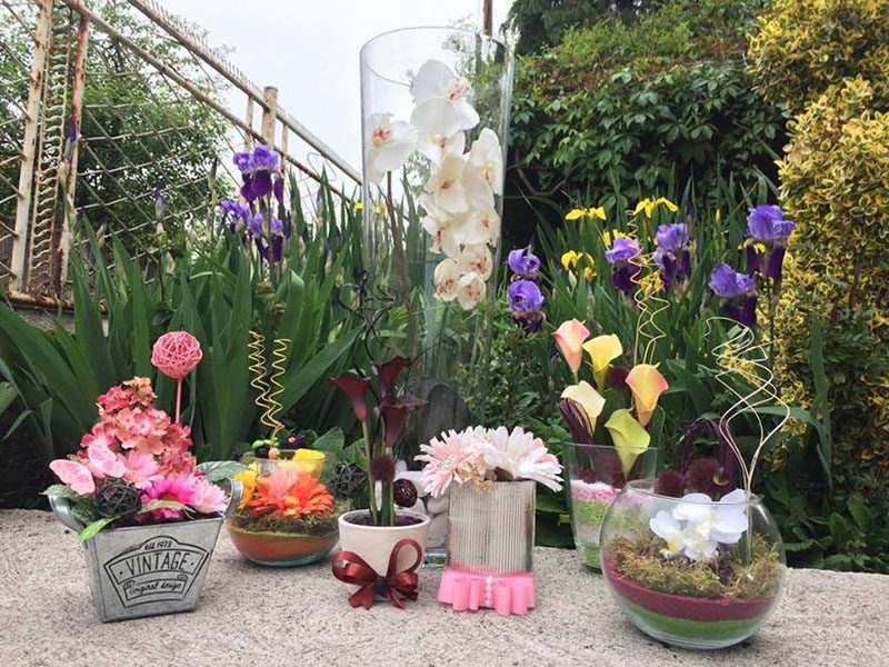 Cvećara Bloom Room