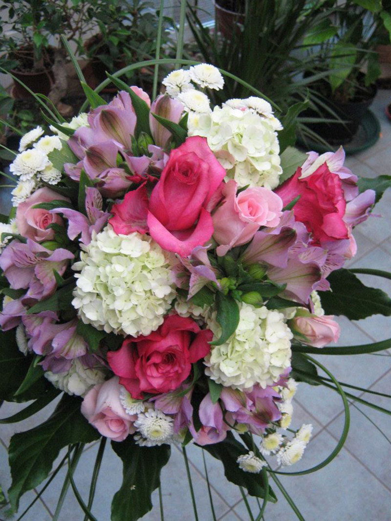 Cvećara Dahlia