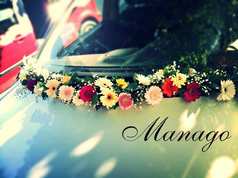 Cvećara Manago