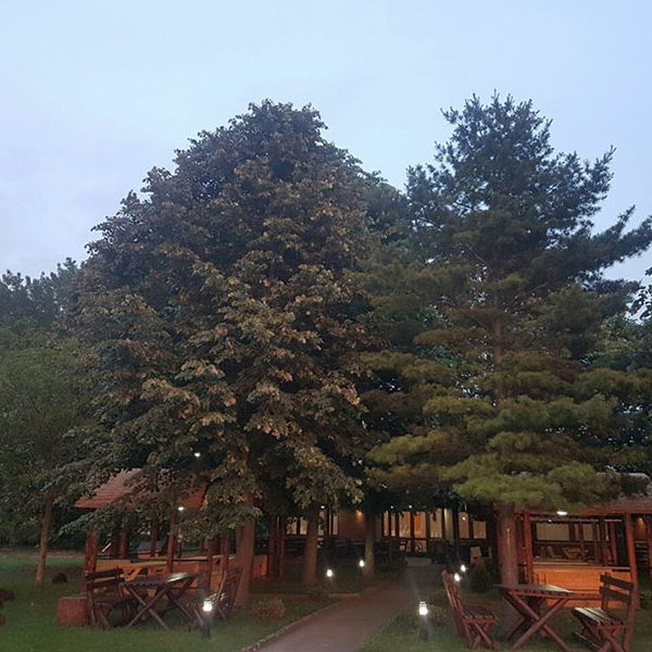 Dunavski Dragulj