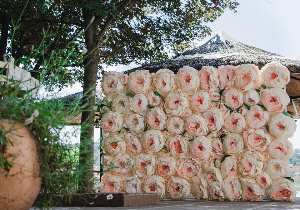 Flower lab NS