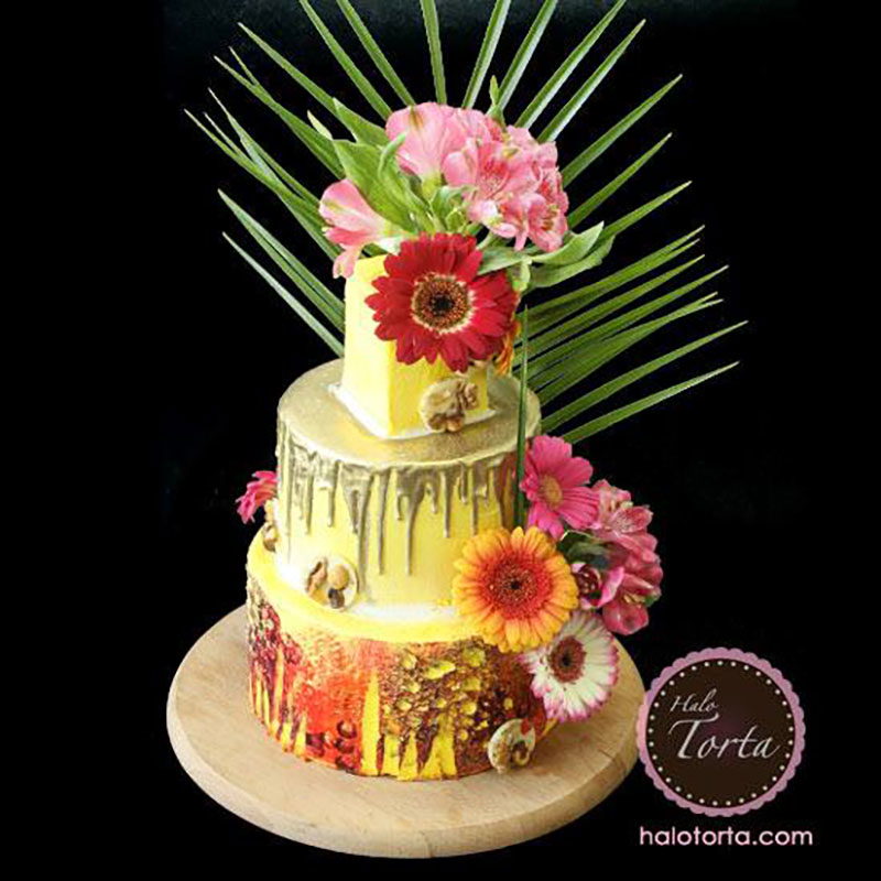 Halo Torta