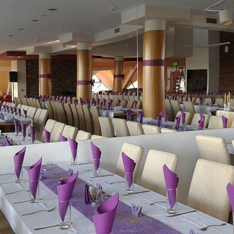 Hotel Borovi