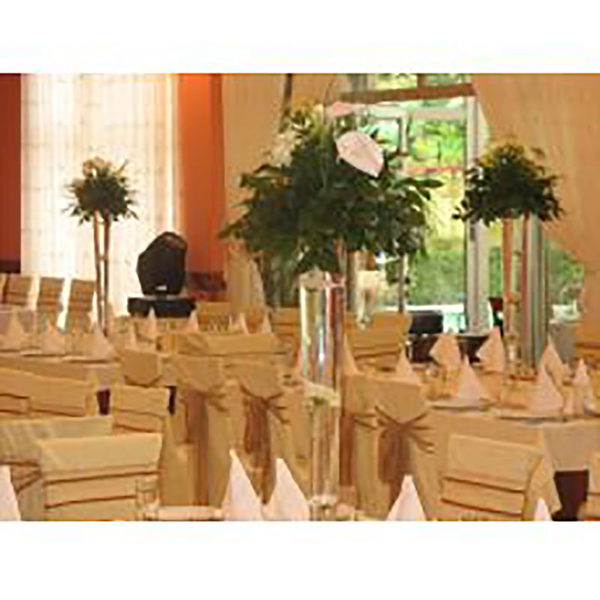 Hotel Fontana Banket
