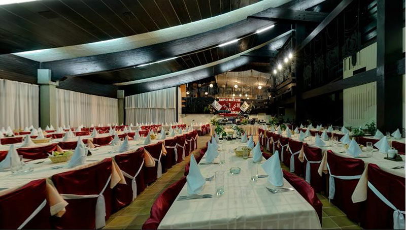 Hotel Lepenski Vir