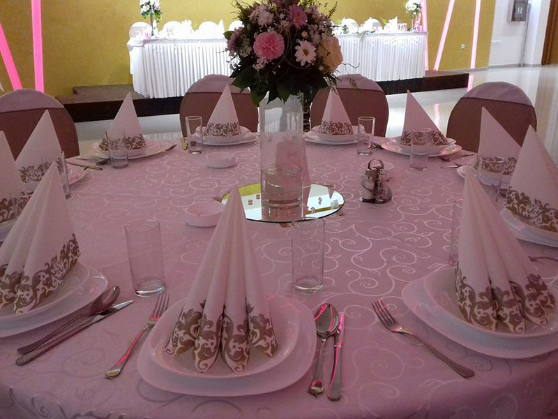 Hotel Vidić