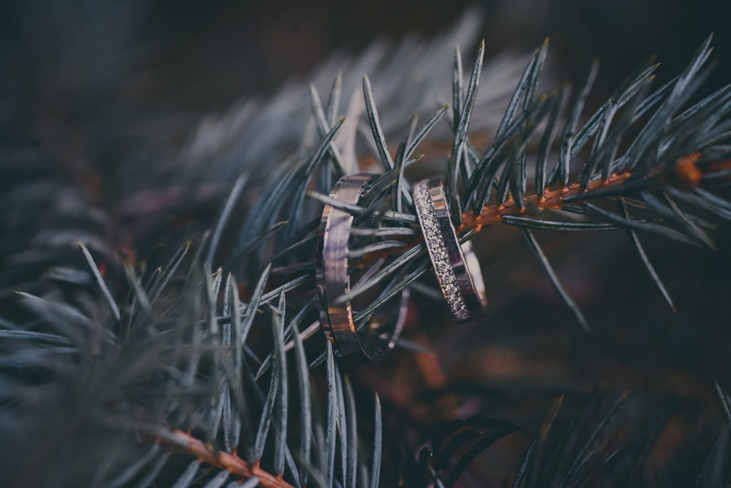 Milan Mitrovic Photography
