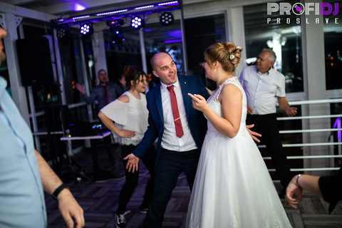 Profi Dj Proslave — DJ Subotica