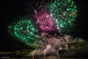Pyro Team