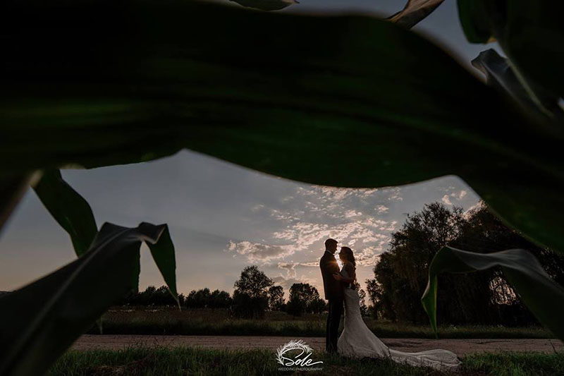 Sole Photography