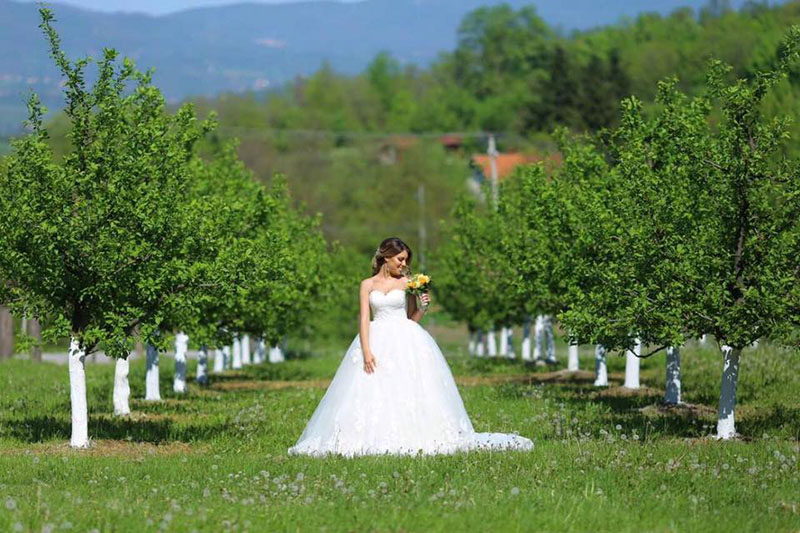 Venčanice Mariposa